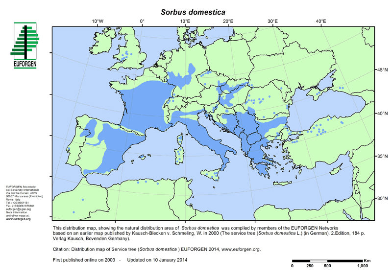 Cartografia EUFORGEN da sorveira, Sorbus domestica